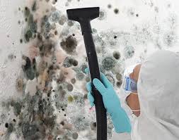 Best Industrial Mold Remediation  in Perryman, MD